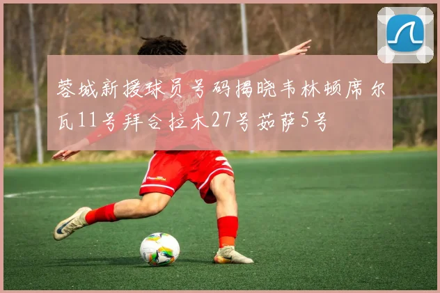 蓉城新援球员号码揭晓韦林顿席尔瓦11号拜合拉木27号茹萨5号