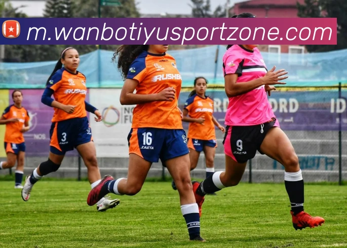 万博体育APP 封面图